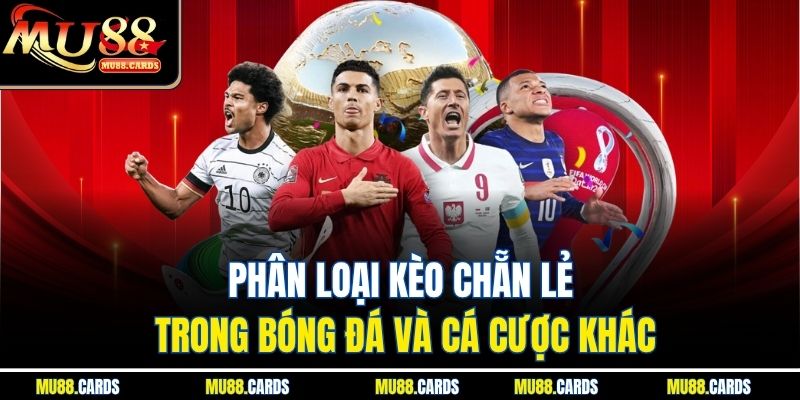 Phân loại kèo chẵn lẻ trong bóng đá và cá cược khác